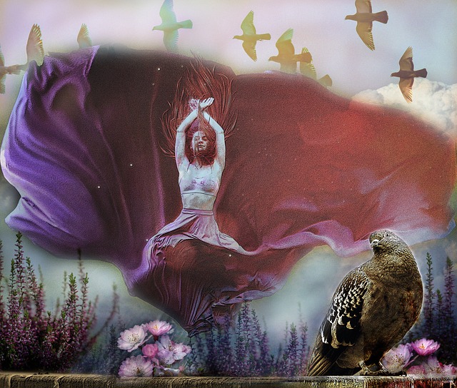 它的外援计 它的外援计