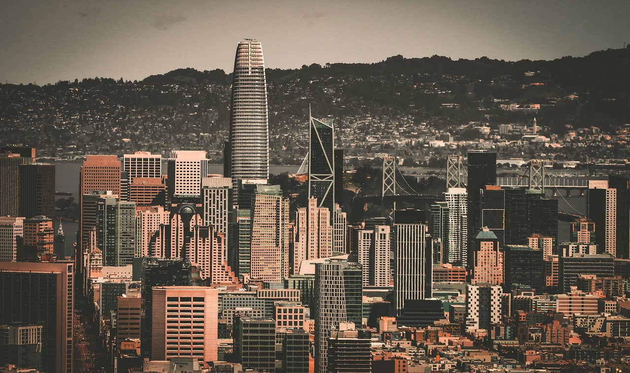 身份检查中 身份检查中